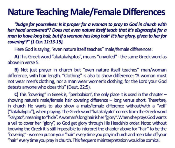 God's Headship Seen In Head Coverings - Image 2